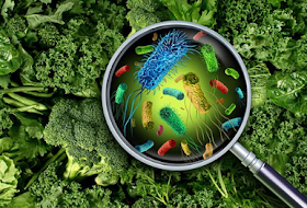 Food Poisoning Treatment Signs, How to Treat Food Poisoning Symptoms