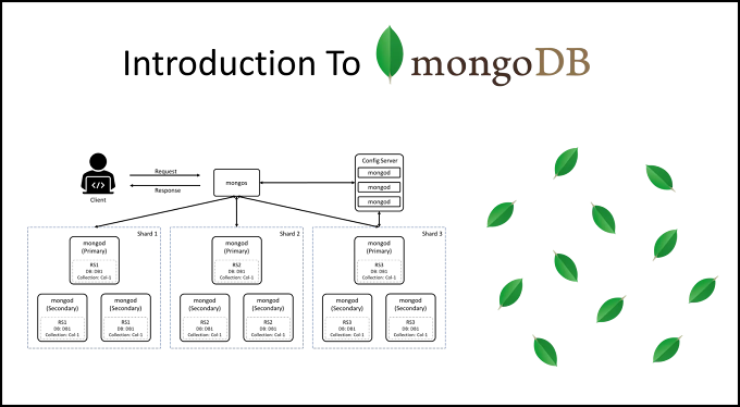Introduction to MongoDB: Exploring the Basics of NoSQL Database