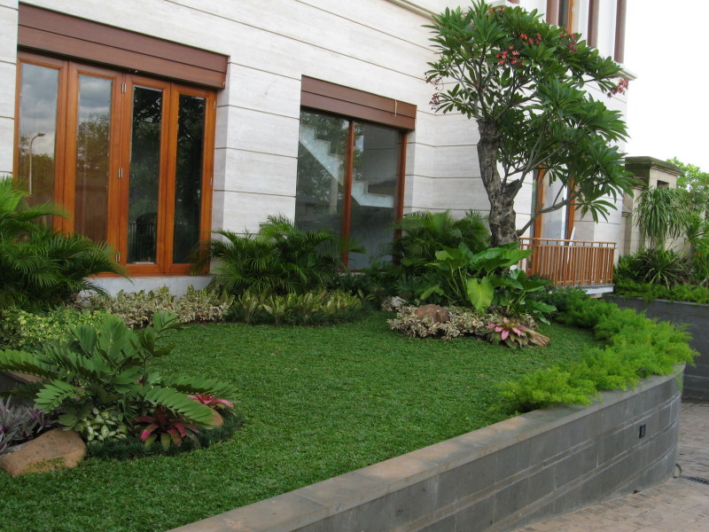 65 Desain Taman Depan Rumah Mungil Minimalis 