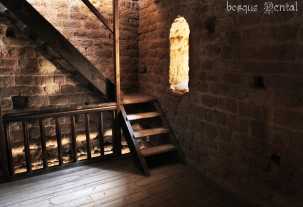 bosqueDANTAL-interiorcastillo715