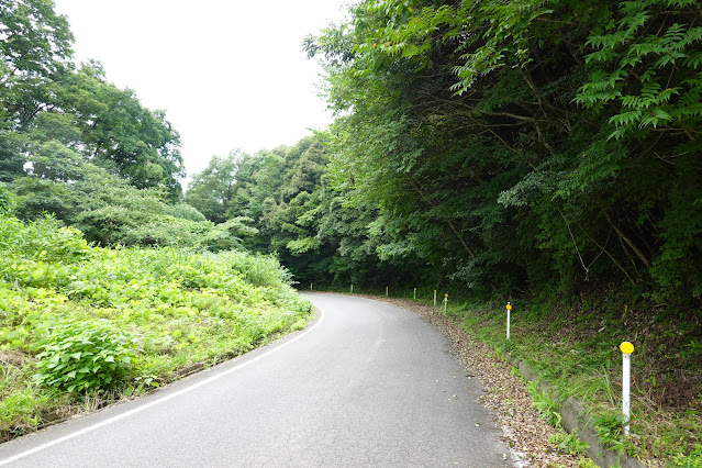 鳥取県西伯郡南部町能竹　南部町カントリーパーク道路