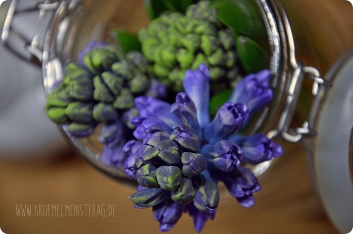 Eingemachte Stinkerlis (04)