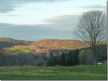 P1020687