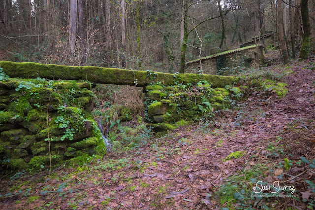 Molinos de Mosende, Chenlo y Filgueiras