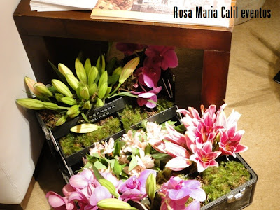 maleta com arranjo de flores, decoração