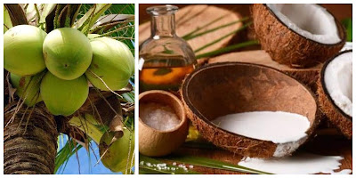 The 7 Secrets About Coconut Only A Handful Of People Know | Health Benefits of Coconut