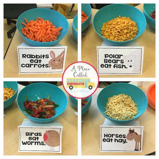 A nonfiction writing workshop celebration in Kindergarten. Lots of ideas on how to celebrate the end of your nonfiction writing unit with your Kindergarten students.