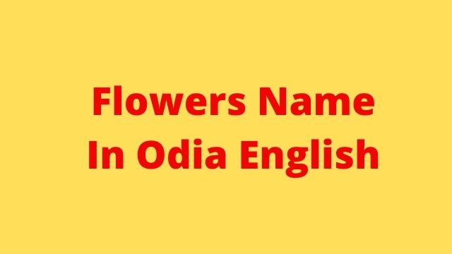 All flowers name in Odia and English