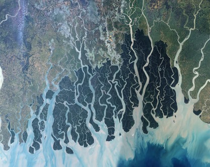 sundarbans%20delta%20nasa_26b0d75d-60ff-4c0b-9749-167a0e79a492