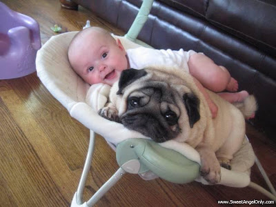 funny_picture_little_baby_with_big_dog