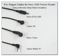 PT1005: Pre-Trigger Cables for Use with the New USB Pocket Wizard