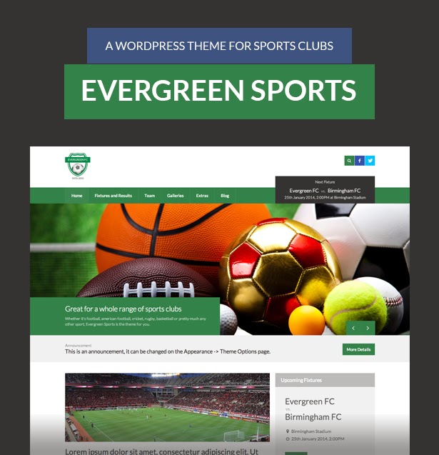Wordpress sports themes