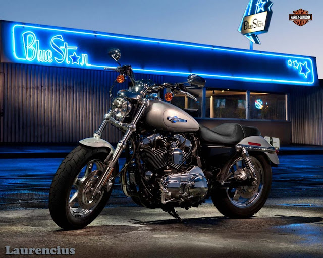 Sportster_1200_Custom_XL1200C