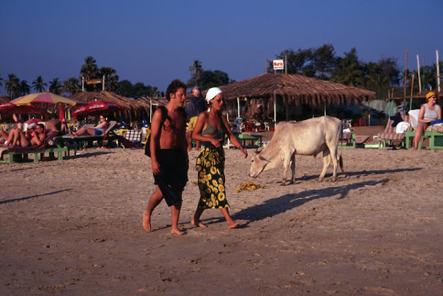 Calangute Beach