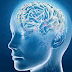 Brain Implant Prevents Seizures 