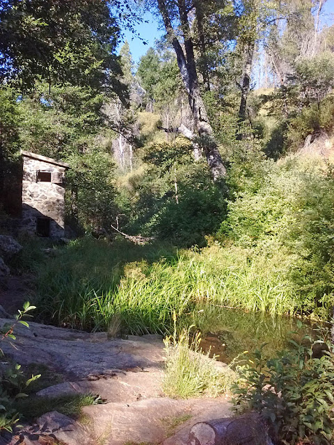 The Weir at the end of Weir Trail