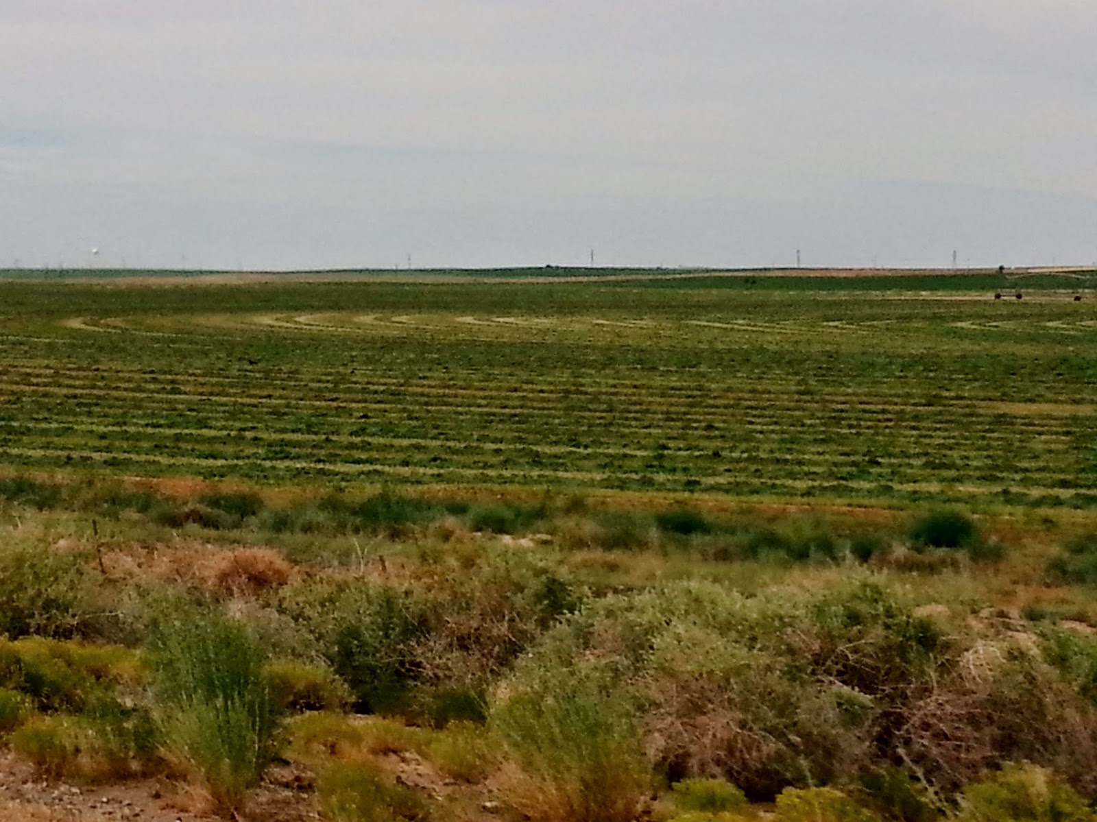 Landscaping Farmington Nm