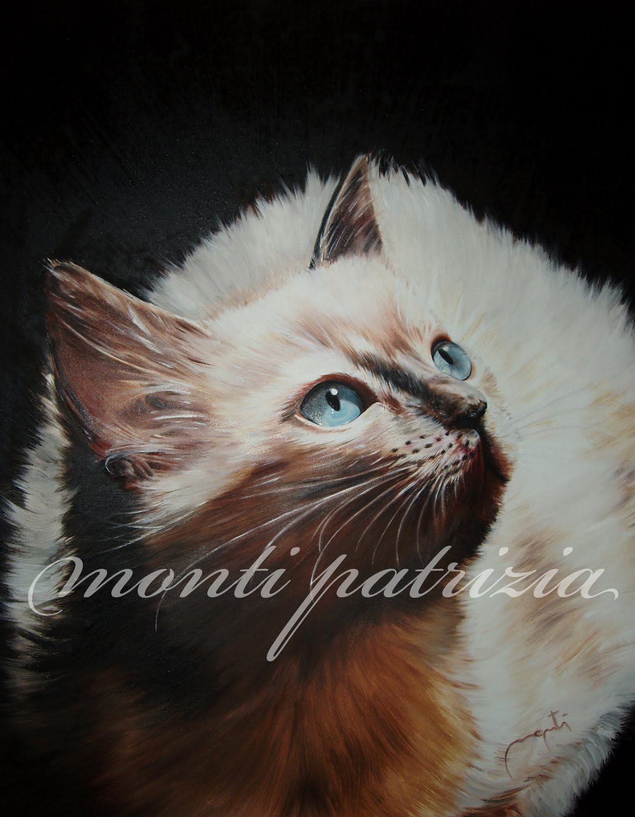 "gatto" ritratto di ragdoll olio su tela