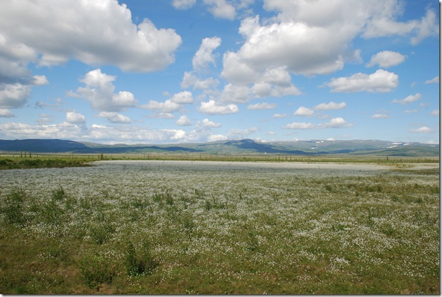 06-16-09 Elliot and Dalton Highway 067