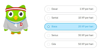 3 Cara Cepat Belajar Bahasa Asing dengan Aplikasi Duolingo Mobile