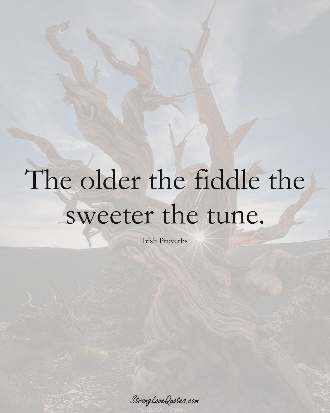The older the fiddle the sweeter the tune. (Irish Sayings);  #EuropeanSayings