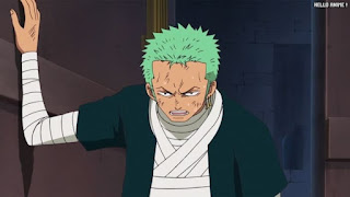 ワンピースアニメ 509話 ロロノア・ゾロ Roronoa Zoro クライガナ島 Kuraigana Island | ONE PIECE Episode 509