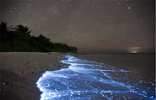 Pulau Pulau Indah Yang Wajib Di Kunjungi Di Negara Maladewa 