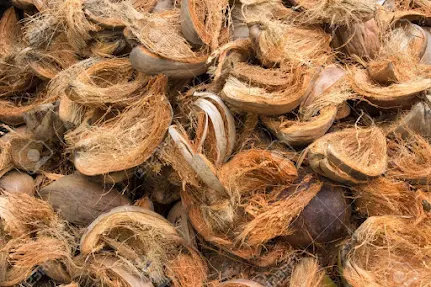 Health Benefits Of Coconut Husks