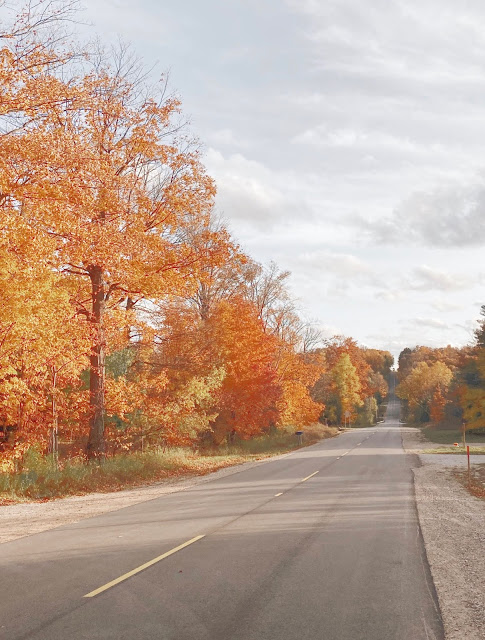 Fall in Northern Michigan Benzie County