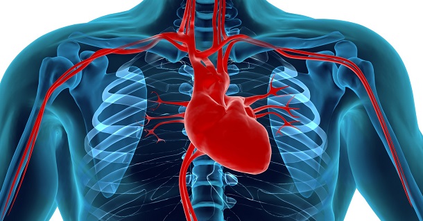 Hipotensão: Sinais, sintomas e tratamento?