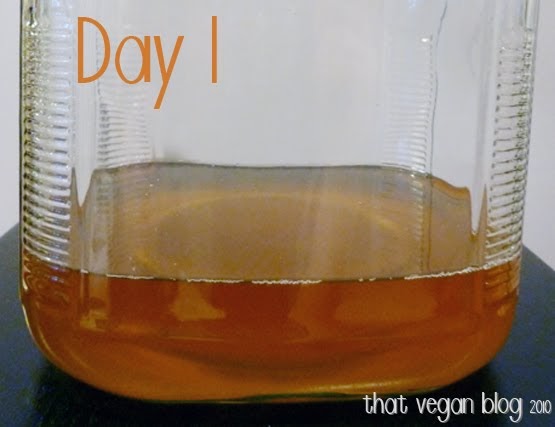 VeggieVores: a kombucha experiment - growing a scoby, part 2