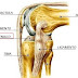 Fisioterapia es el mejor tratamiento para la rodilla