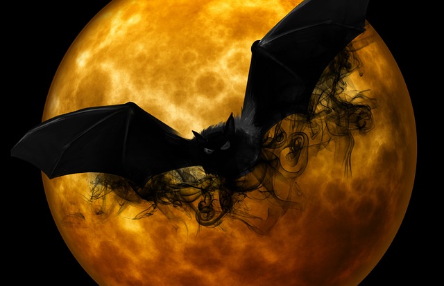 halloween, morcego, lua cheia, full moon, moon, scary