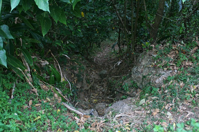 がじゃんびら公園側から見た小道の写真