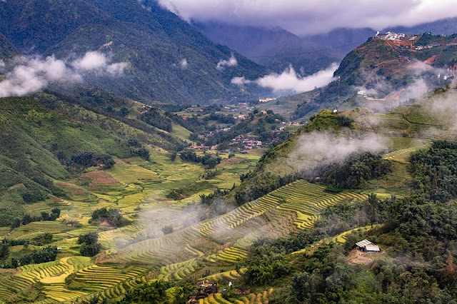 Rice Harvest And 10 Memorable Experiences in Sapa, Vietnam 1