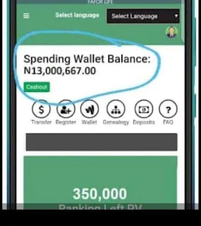 FaforLife business