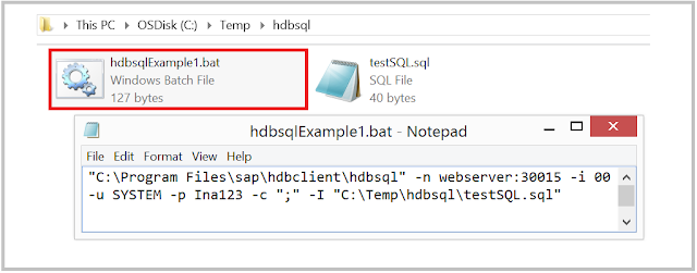SAP HANA windows batch file