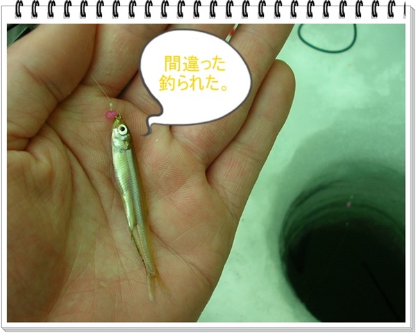 11年 わかさぎ釣り In 秋元湖