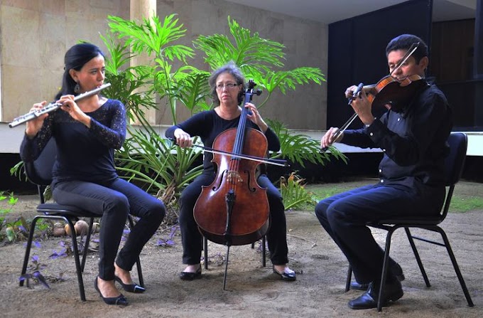 Camerata da OSBA se apresenta hoje na Biblioteca do bairro 