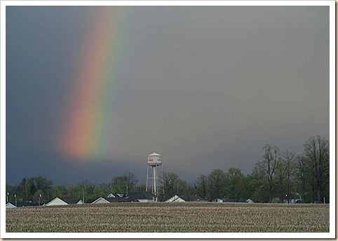 Rainbow8