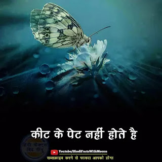 Interesting Facts About World In Hindi