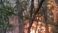  Reaksi Cepat Polres Simalungun Padamkan Api di Hutan Sibaganding: Perjuangan Melawan Bara di Tengah Kemarau