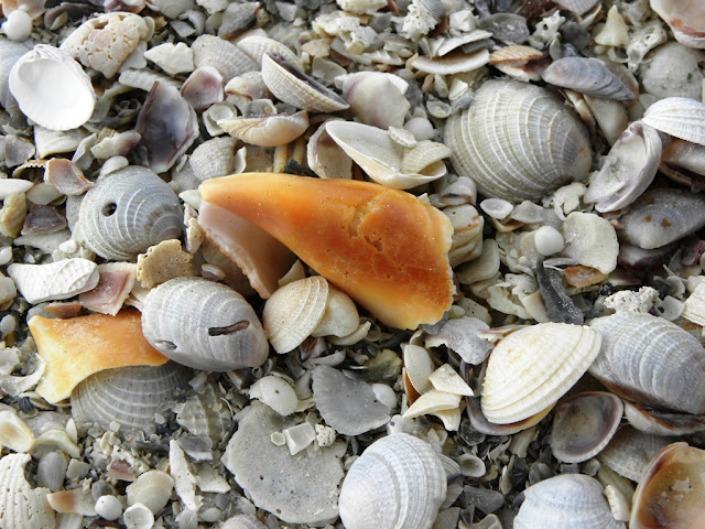 Fort Myers Beach