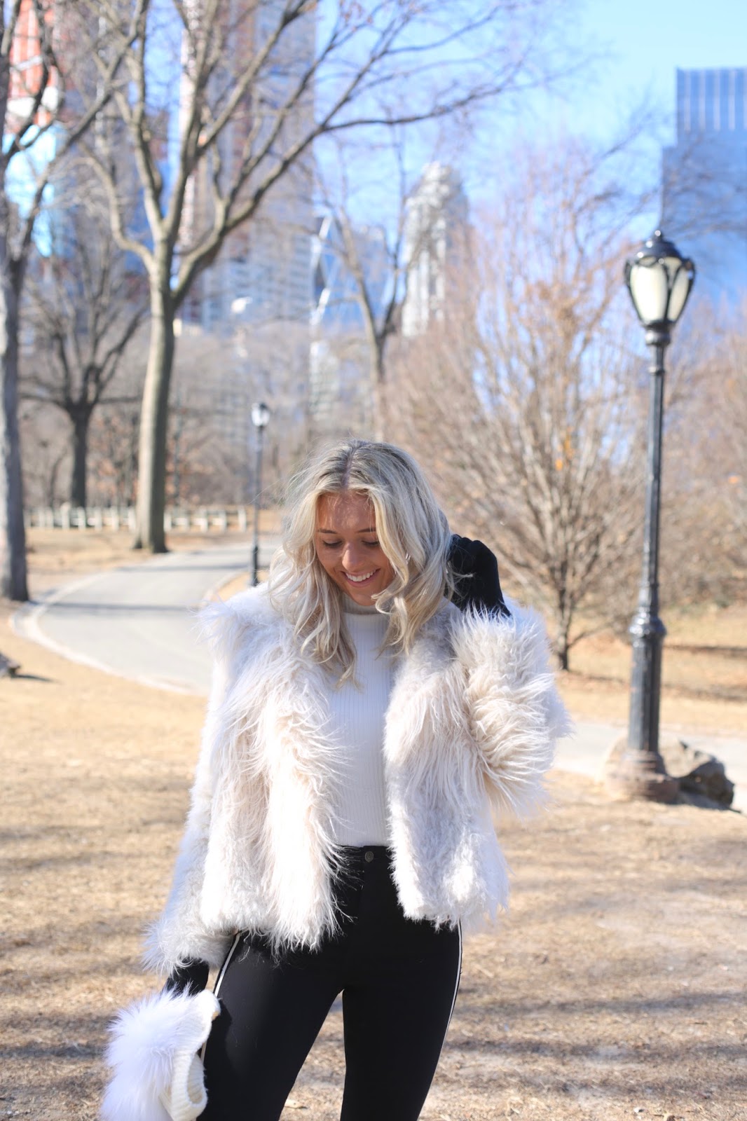 Central Park new york