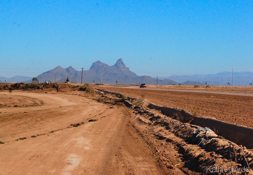 9. flat-kab