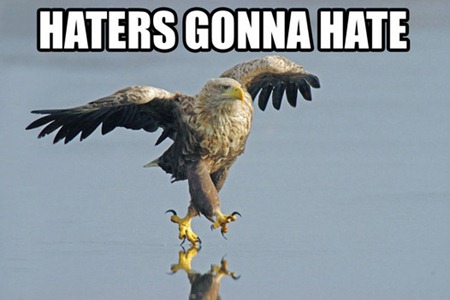 haters_gonna_hate_eagle-142651