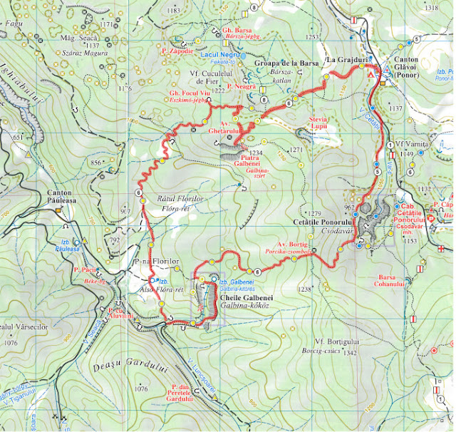 Traseu în Munții Apuseni: Cheile Galbenei