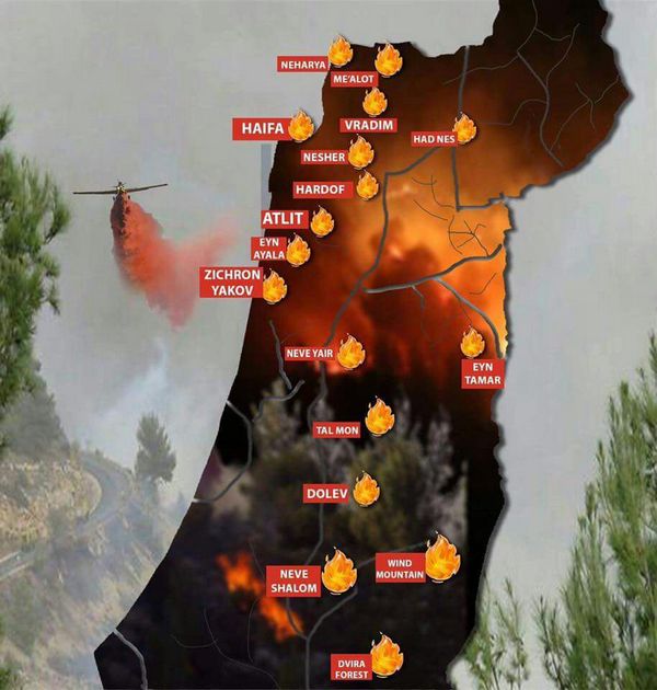 Kebakaran di Israel, Ratusan Orang di Ungsikan