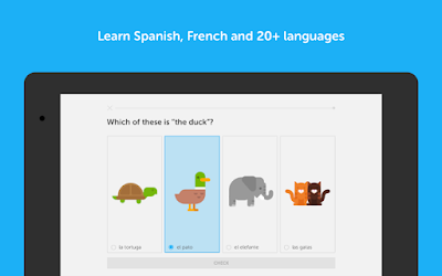 Duolingo: Learn Languages 3.90.1 Apk Full