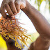 Promover la industria del musgo marino en la Isla de la Naturaleza